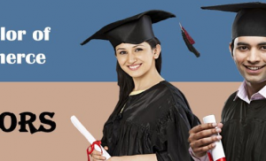 Bachelor of Commerce – B.Com (Honors) in Indore